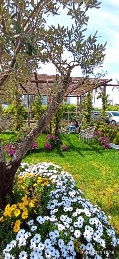 La Villa Degli Dei - Guest House Castellammare di Stabia Exterior foto