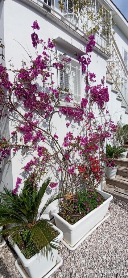 La Villa Degli Dei - Guest House Castellammare di Stabia Exterior foto